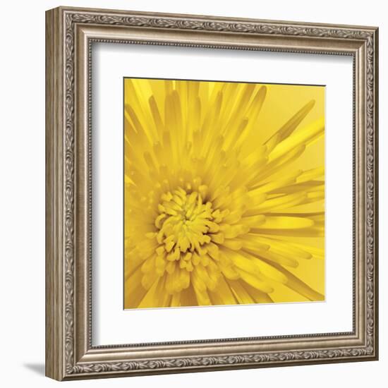 Yellow Mum 3-Jenny Kraft-Framed Art Print