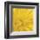 Yellow Mum 3-Jenny Kraft-Framed Art Print