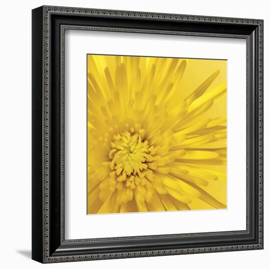 Yellow Mum 3-Jenny Kraft-Framed Art Print