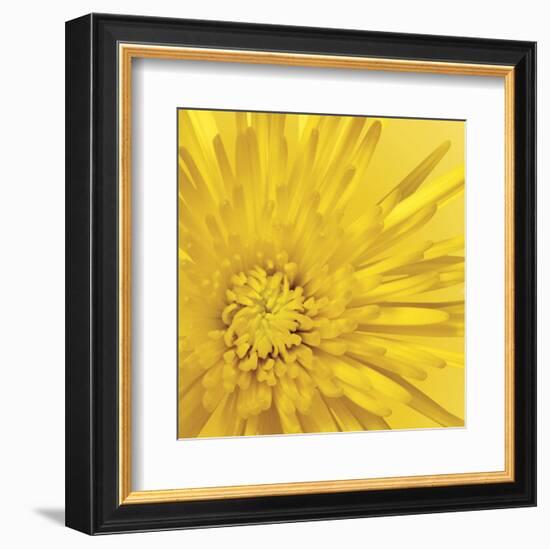 Yellow Mum 3-Jenny Kraft-Framed Art Print