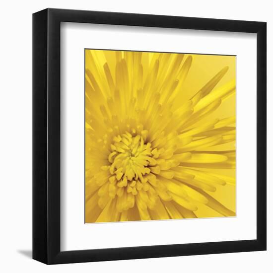 Yellow Mum 3-Jenny Kraft-Framed Art Print