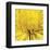 Yellow Mum 4-Jenny Kraft-Framed Art Print