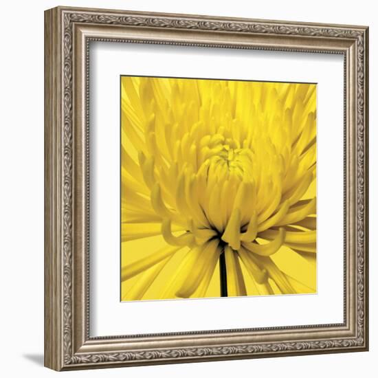 Yellow Mum 4-Jenny Kraft-Framed Art Print