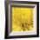 Yellow Mum 4-Jenny Kraft-Framed Art Print