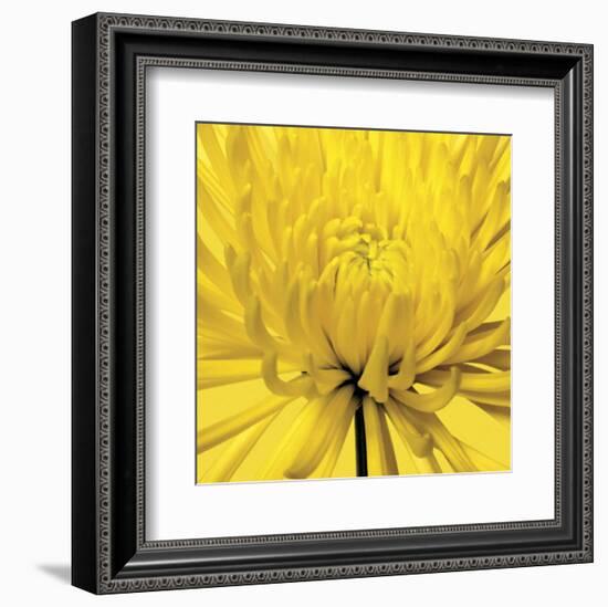 Yellow Mum 4-Jenny Kraft-Framed Art Print