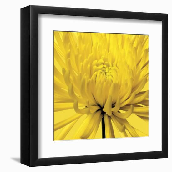 Yellow Mum 4-Jenny Kraft-Framed Art Print