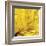 Yellow Mum II-Jenny Kraft-Framed Giclee Print