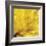 Yellow Mum II-Jenny Kraft-Framed Giclee Print