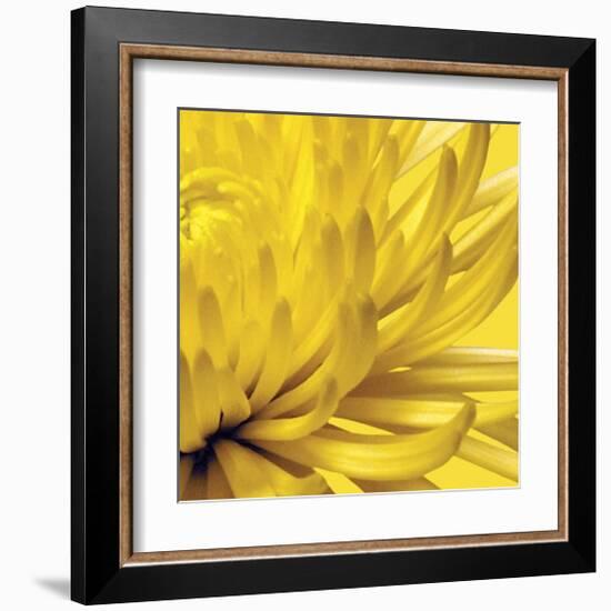 Yellow Mum II-Jenny Kraft-Framed Giclee Print