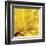 Yellow Mum II-Jenny Kraft-Framed Giclee Print