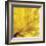 Yellow Mum II-Jenny Kraft-Framed Giclee Print