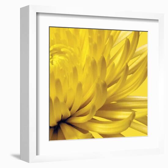 Yellow Mum II-Jenny Kraft-Framed Giclee Print