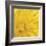 Yellow Mum III-Jenny Kraft-Framed Giclee Print