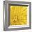 Yellow Mum III-Jenny Kraft-Framed Giclee Print