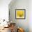 Yellow Mum IV-Jenny Kraft-Framed Giclee Print displayed on a wall