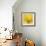 Yellow Mum IV-Jenny Kraft-Framed Giclee Print displayed on a wall