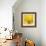 Yellow Mum IV-Jenny Kraft-Framed Giclee Print displayed on a wall