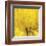 Yellow Mum IV-Jenny Kraft-Framed Giclee Print