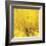 Yellow Mum IV-Jenny Kraft-Framed Giclee Print