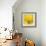 Yellow Mum IV-Jenny Kraft-Framed Giclee Print displayed on a wall