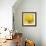 Yellow Mum IV-Jenny Kraft-Framed Giclee Print displayed on a wall