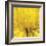 Yellow Mum IV-Jenny Kraft-Framed Giclee Print