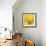 Yellow Mum IV-Jenny Kraft-Framed Giclee Print displayed on a wall