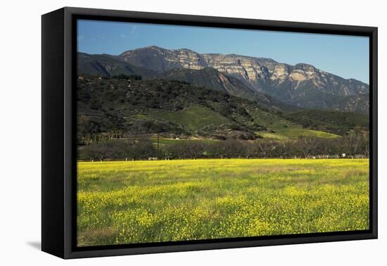 Yellow Mustard and Topa Topa Mountains in Spring, Upper Ojai, California, Usa, 04.26.2014-Joseph Sohm-Framed Premier Image Canvas