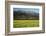 Yellow Mustard and Topa Topa Mountains in Spring, Upper Ojai, California, Usa, 04.26.2014-Joseph Sohm-Framed Photographic Print