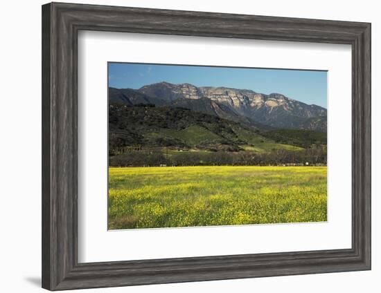 Yellow Mustard and Topa Topa Mountains in Spring, Upper Ojai, California, Usa, 04.26.2014-Joseph Sohm-Framed Photographic Print