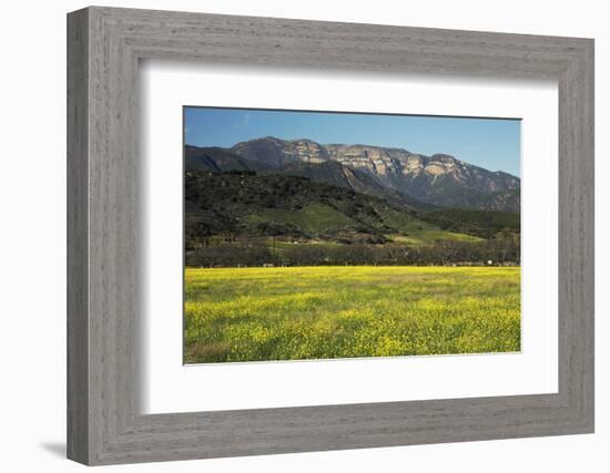 Yellow Mustard and Topa Topa Mountains in Spring, Upper Ojai, California, Usa, 04.26.2014-Joseph Sohm-Framed Photographic Print