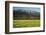 Yellow Mustard and Topa Topa Mountains in Spring, Upper Ojai, California, Usa, 04.26.2014-Joseph Sohm-Framed Photographic Print