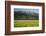 Yellow Mustard and Topa Topa Mountains in Spring, Upper Ojai, California, Usa, 04.26.2014-Joseph Sohm-Framed Photographic Print