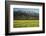 Yellow Mustard and Topa Topa Mountains in Spring, Upper Ojai, California, Usa, 04.26.2014-Joseph Sohm-Framed Photographic Print