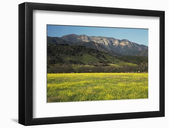 Yellow Mustard and Topa Topa Mountains in Spring, Upper Ojai, California, Usa, 04.26.2014-Joseph Sohm-Framed Photographic Print