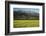 Yellow Mustard and Topa Topa Mountains in Spring, Upper Ojai, California, Usa, 04.26.2014-Joseph Sohm-Framed Photographic Print