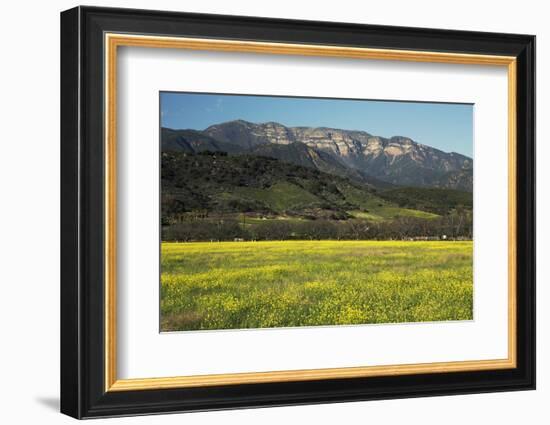 Yellow Mustard and Topa Topa Mountains in Spring, Upper Ojai, California, Usa, 04.26.2014-Joseph Sohm-Framed Photographic Print