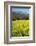 Yellow Mustard and Topa Topa Mountains in Spring, Upper Ojai, California, Usa, 04.26.2014-Joseph Sohm-Framed Photographic Print