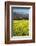 Yellow Mustard and Topa Topa Mountains in Spring, Upper Ojai, California, Usa, 04.26.2014-Joseph Sohm-Framed Photographic Print