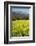 Yellow Mustard and Topa Topa Mountains in Spring, Upper Ojai, California, Usa, 04.26.2014-Joseph Sohm-Framed Photographic Print