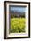 Yellow Mustard and Topa Topa Mountains in Spring, Upper Ojai, California, Usa, 04.26.2014-Joseph Sohm-Framed Photographic Print