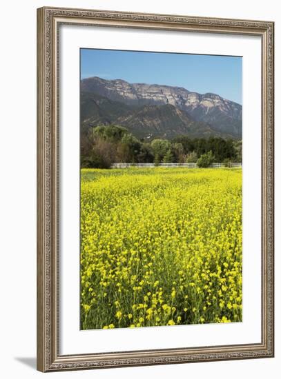 Yellow Mustard and Topa Topa Mountains in Spring, Upper Ojai, California, Usa, 04.26.2014-Joseph Sohm-Framed Photographic Print