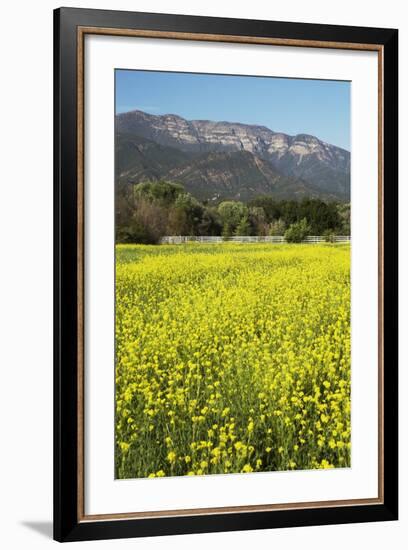 Yellow Mustard and Topa Topa Mountains in Spring, Upper Ojai, California, Usa, 04.26.2014-Joseph Sohm-Framed Photographic Print