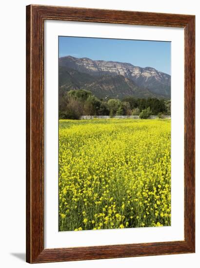 Yellow Mustard and Topa Topa Mountains in Spring, Upper Ojai, California, Usa, 04.26.2014-Joseph Sohm-Framed Photographic Print