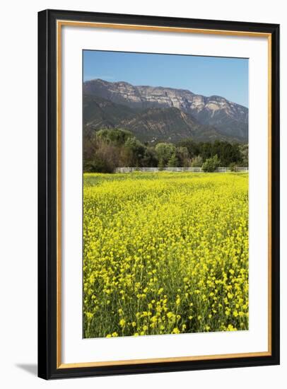 Yellow Mustard and Topa Topa Mountains in Spring, Upper Ojai, California, Usa, 04.26.2014-Joseph Sohm-Framed Photographic Print