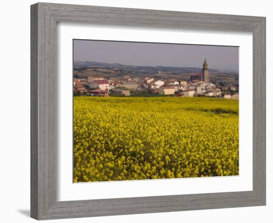 Yellow mustard flowers, Elvillar Village, La Rioja, Spain-Janis Miglavs-Framed Photographic Print