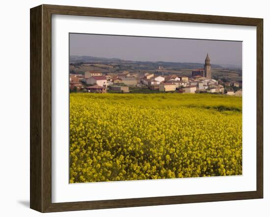 Yellow mustard flowers, Elvillar Village, La Rioja, Spain-Janis Miglavs-Framed Photographic Print