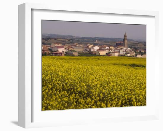 Yellow mustard flowers, Elvillar Village, La Rioja, Spain-Janis Miglavs-Framed Photographic Print