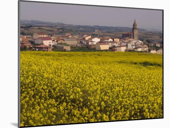 Yellow mustard flowers, Elvillar Village, La Rioja, Spain-Janis Miglavs-Mounted Photographic Print