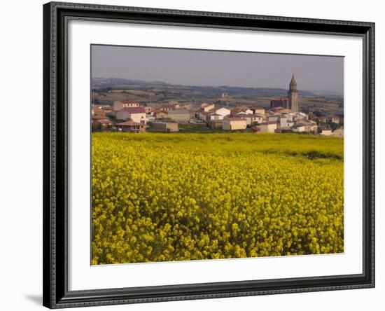 Yellow mustard flowers, Elvillar Village, La Rioja, Spain-Janis Miglavs-Framed Photographic Print